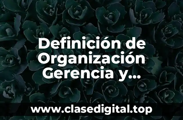 Definición de Organización Gerencia y Responsabilidad Social Empresarial