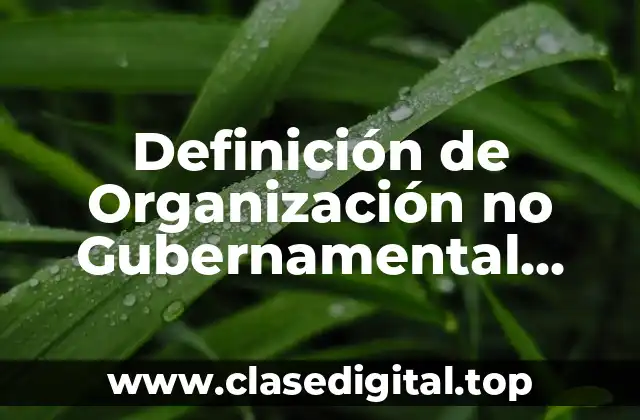 Definición de Organización no Gubernamental (ONG)