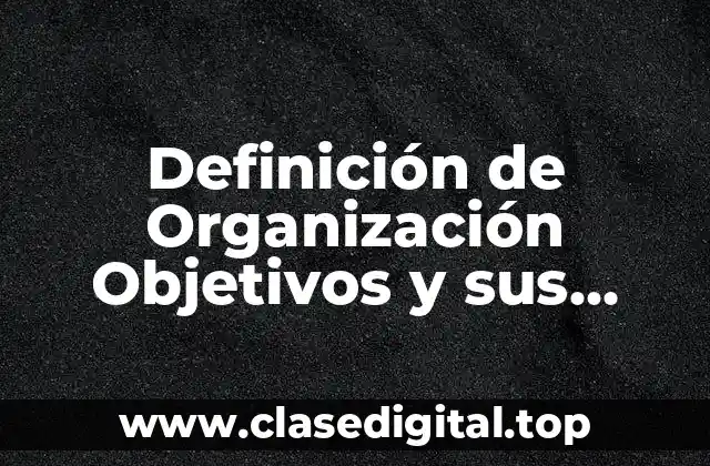 Definición de Organización Objetivos y sus Etapas