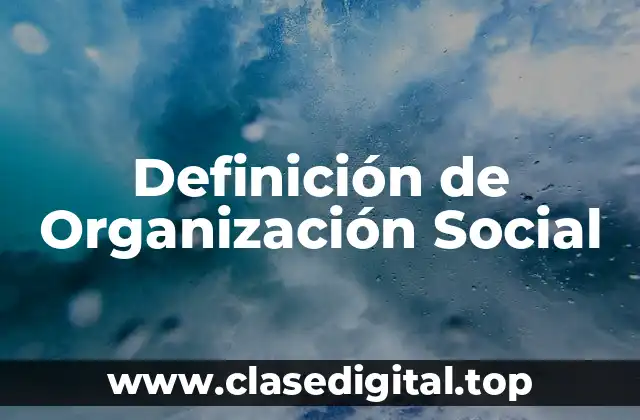 Definición de Organización Social