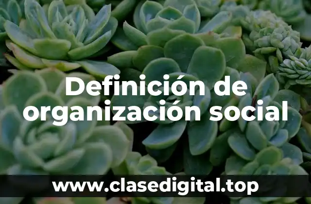 Definición técnica de organización social