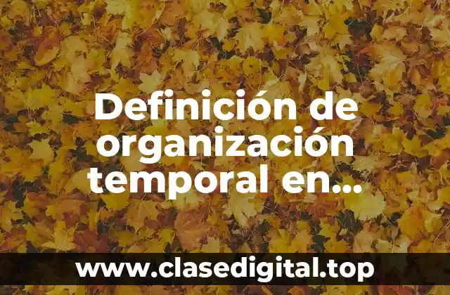 Definición de organización temporal en educación física