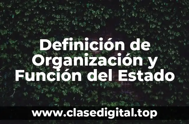 Definición de Organización y Función del Estado