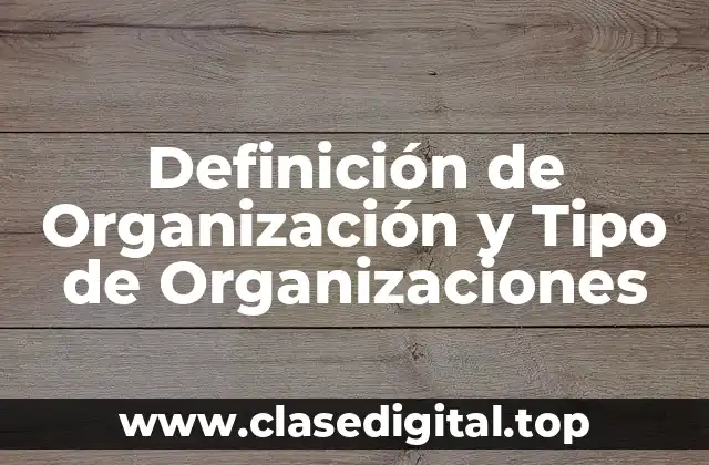 Definición de Organización y Tipo de Organizaciones