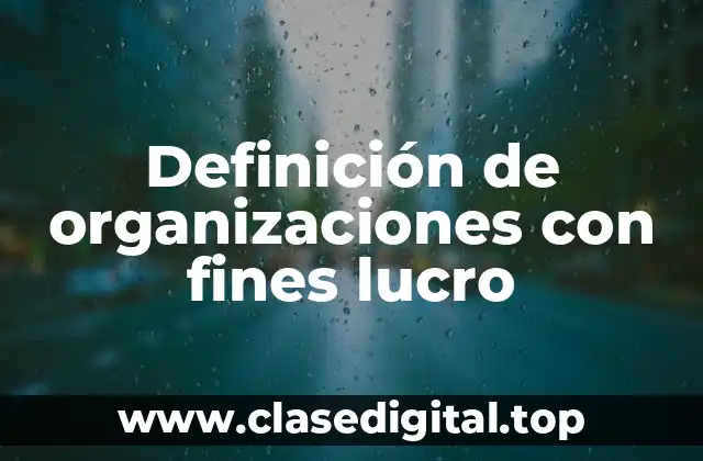 Definición de organizaciones con fines lucro