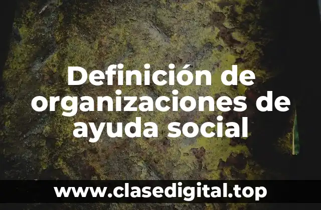 Definición de organizaciones de ayuda social