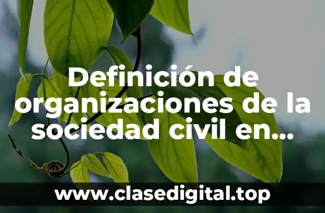 Definición de organizaciones de la sociedad civil en México