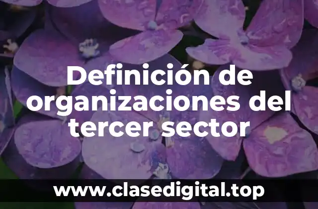 Definición de organizaciones del tercer sector