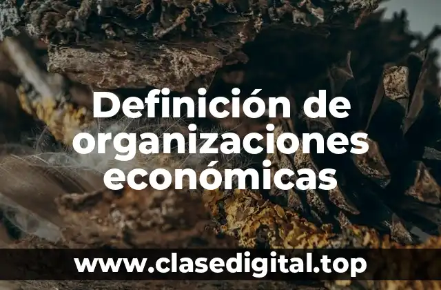 Definición de organizaciones económicas