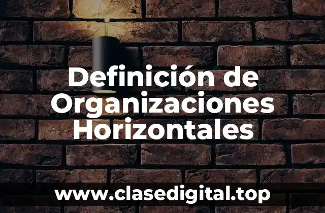 Definición de Organizaciones Horizontales