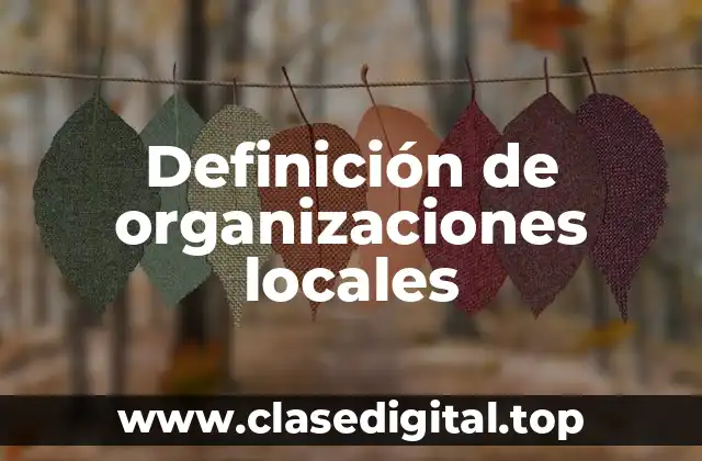 Definición de organizaciones locales