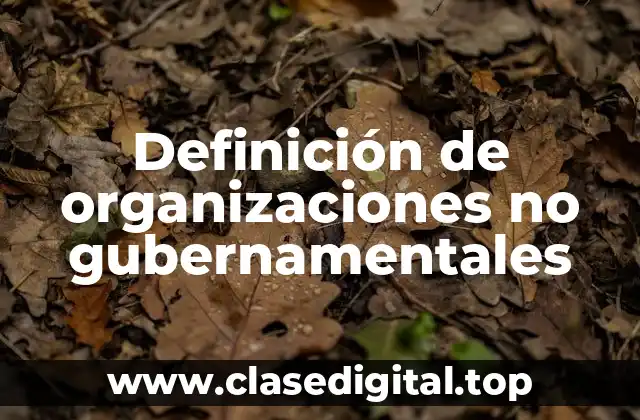 Definición de organizaciones no gubernamentales