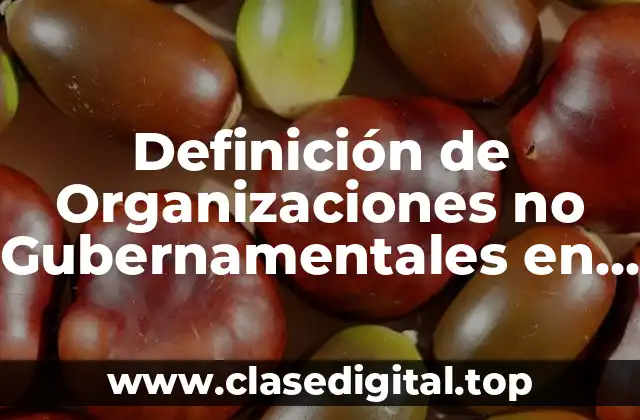 Definición técnica de organización no gubernamental en México