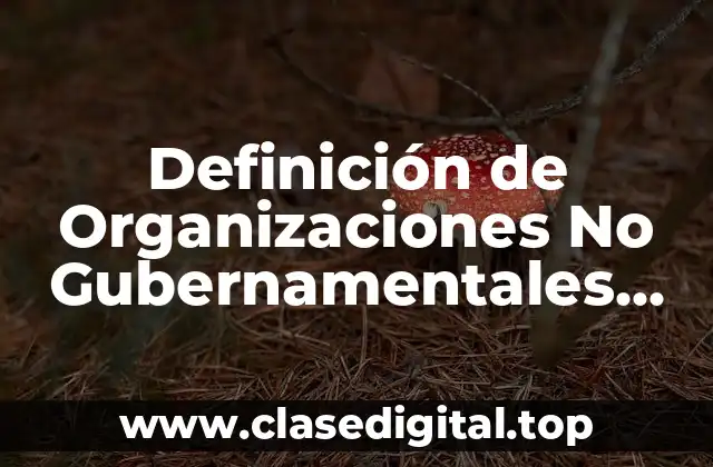 Definición de Organizaciones No Gubernamentales (ONG)
