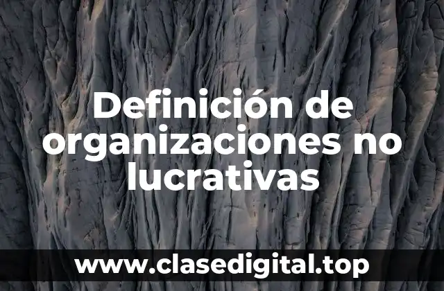 Definición de organizaciones no lucrativas