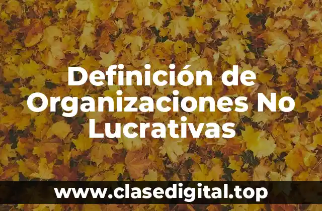 Definición Técnica de Organización No Lucrativa