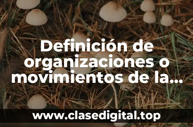 Definición de organizaciones o movimientos de la sociedad civil recientes