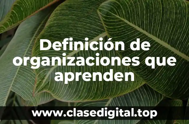 Definición de organizaciones que aprenden