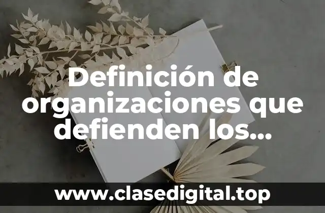 Definición de organizaciones que defienden los derechos de los niños