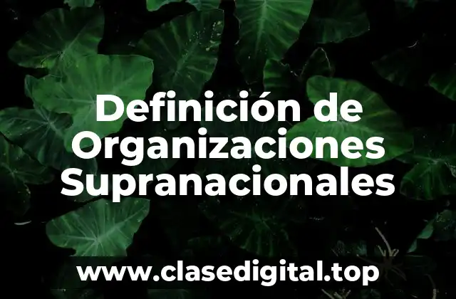 Definición de Organizaciones Supranacionales