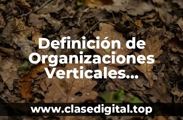 Definición de Organizaciones Verticales, Horizontales y Planas