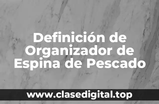 Definición de Organizador de Espina de Pescado