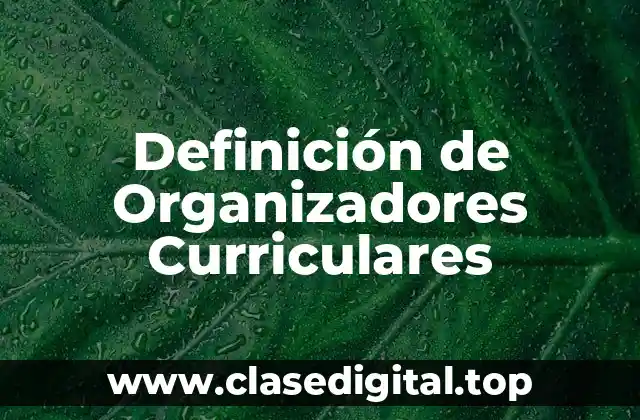 Definición de Organizadores Curriculares