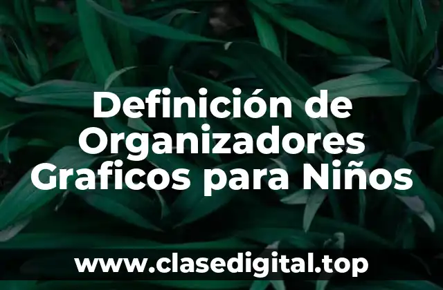 Definición de Organizadores Graficos para Niños