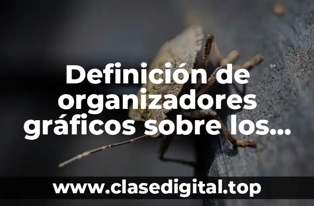 Definición de organizadores gráficos sobre los productos no perecederos