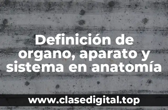 Definición de organo, aparato y sistema en anatomía