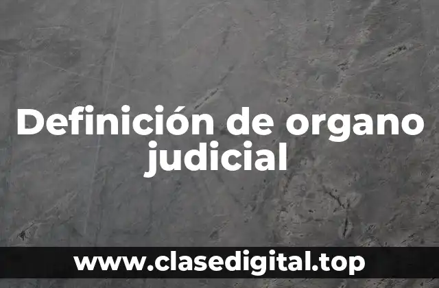Definición de organo judicial