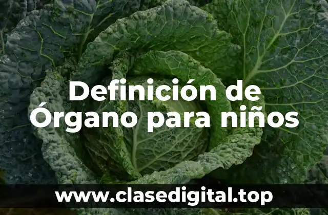 Definición de Órgano para niños