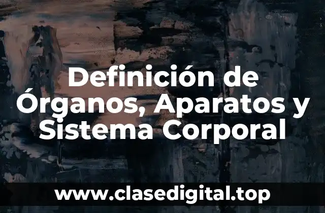 Definición de Órganos, Aparatos y Sistema Corporal