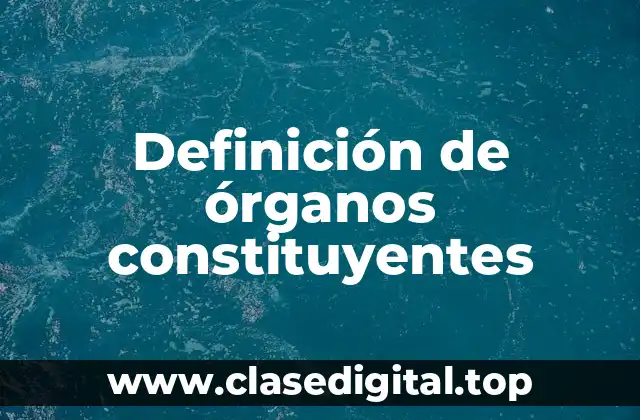 Definición de órganos constituyentes