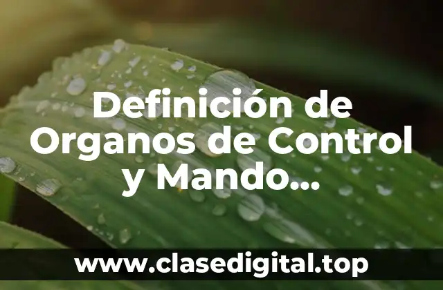 Definición de Organos de Control y Mando Eutomatización