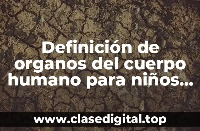Definición de organos del cuerpo humano para niños con nombres