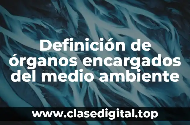 Definición de órganos encargados del medio ambiente