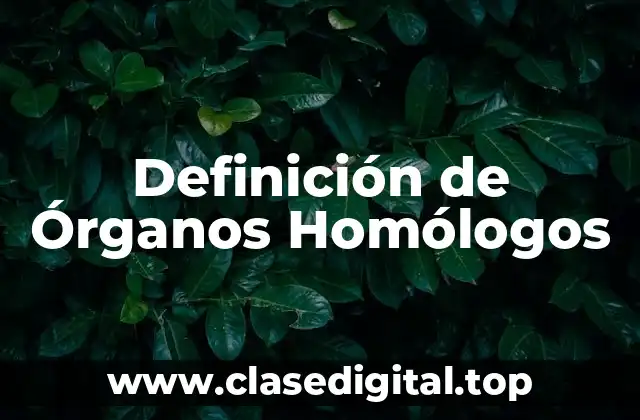 Definición de Órganos Homólogos