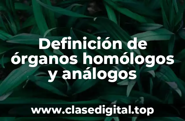 Definición de órganos homólogos y análogos