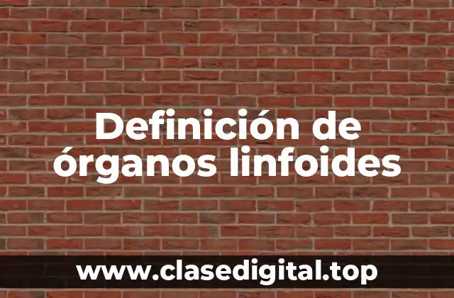 Definición de órganos linfoides
