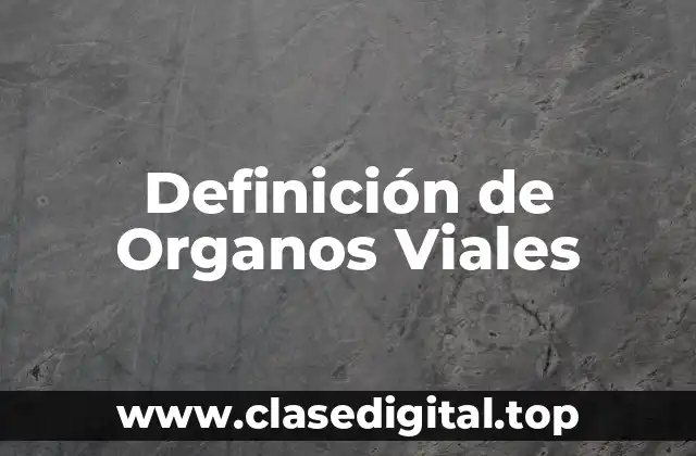 Definición de Organos Viales
