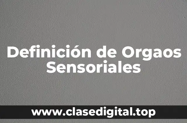 Definición de Orgaos Sensoriales