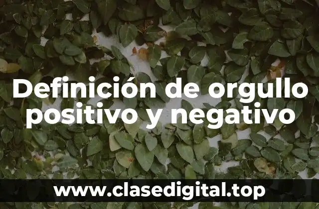 Definición de orgullo positivo y negativo