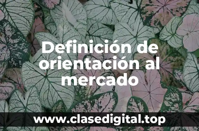 Definición técnica de orientación al mercado