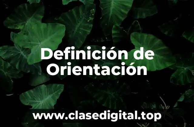 Definición técnica de Orientación