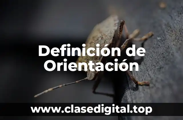 Definición de Orientación