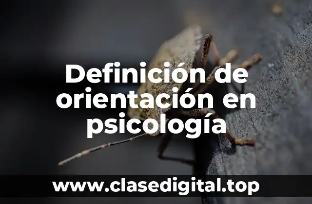 Definición de orientación en psicología