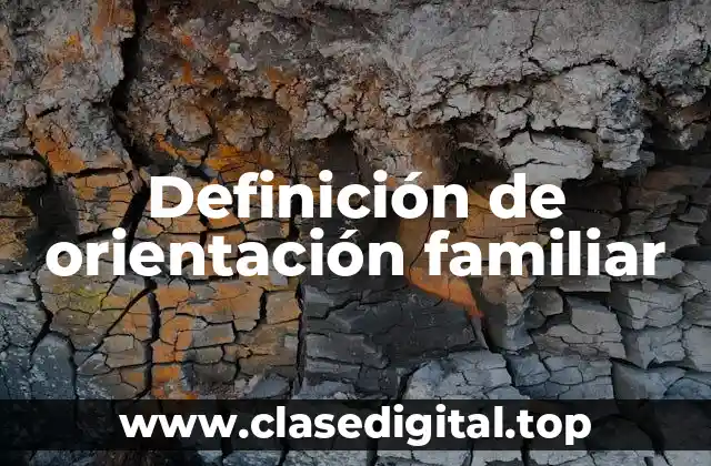 Definición de orientación familiar