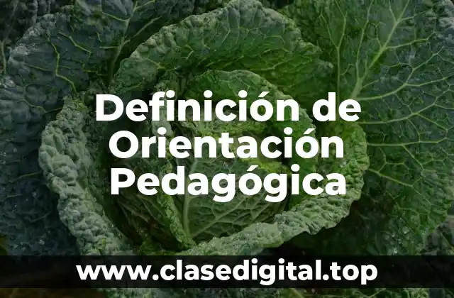 Definición de Orientación Pedagógica