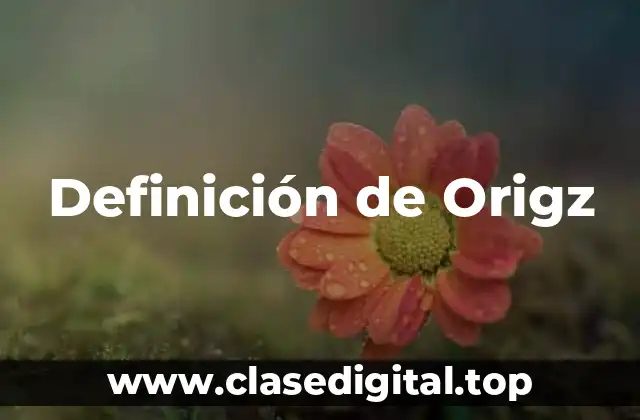 Definición de Origz